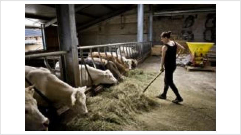 Regionale Ernährung fördern, Wert der Lebensmittel achten Regionale Ernährung fördern, Wert der Lebensmittel achten