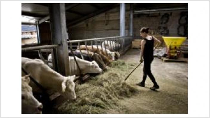Regionale Ernährung fördern, Wert der Lebensmittel achten